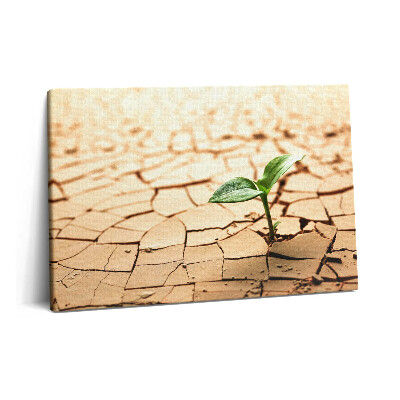 Tablou pe pânză 60x40 Plantați în sol uscat