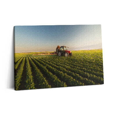 Tablou pe pânză 60x40 Tractorul stropește câmpul