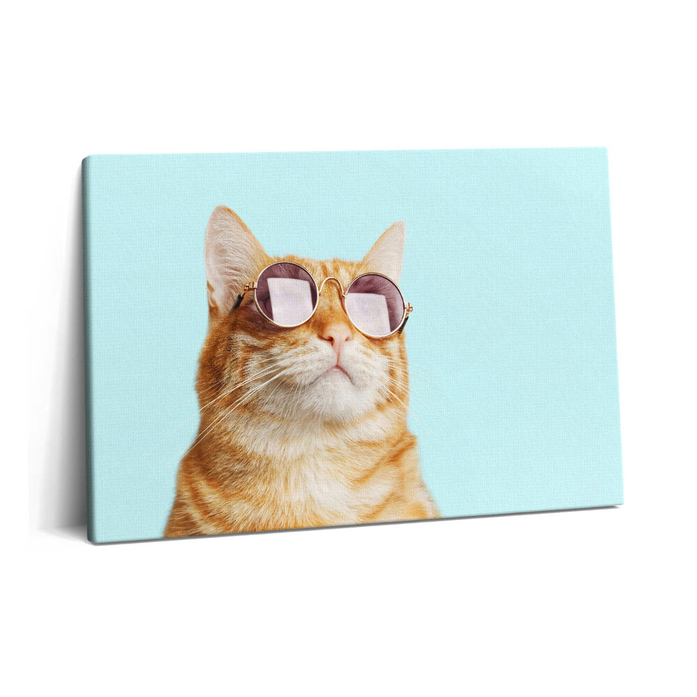 Tablou pe pânză 60x40 Pisică amuzantă cu ochelari