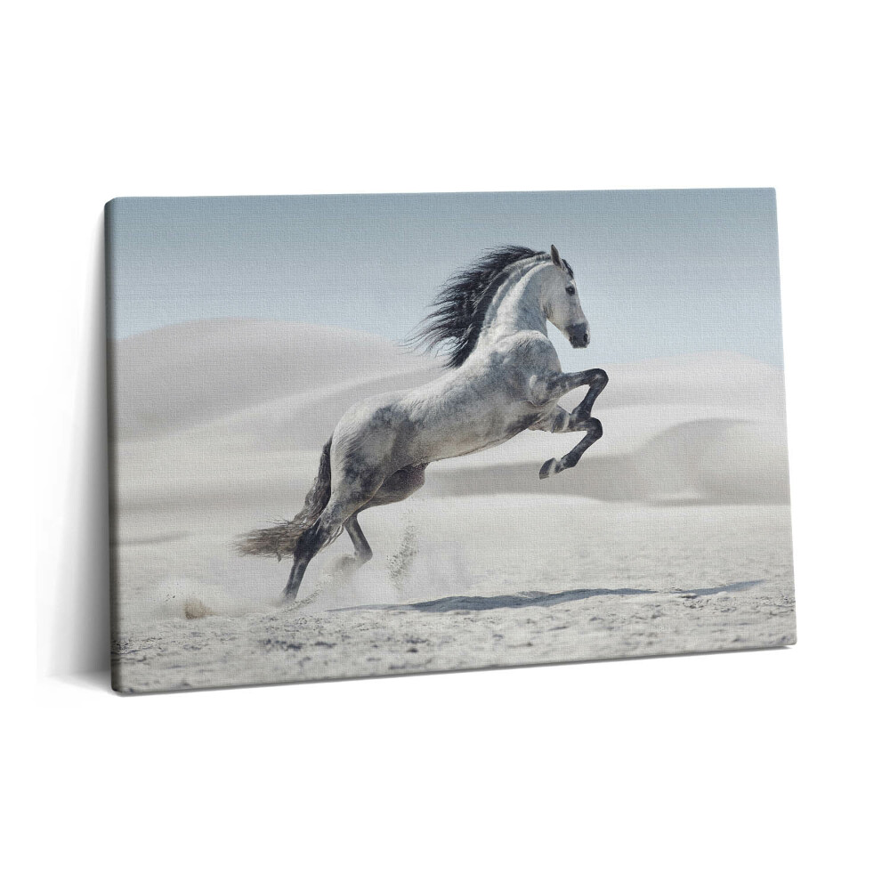 Tablou pe pânză 60x40 Cal alb galopant