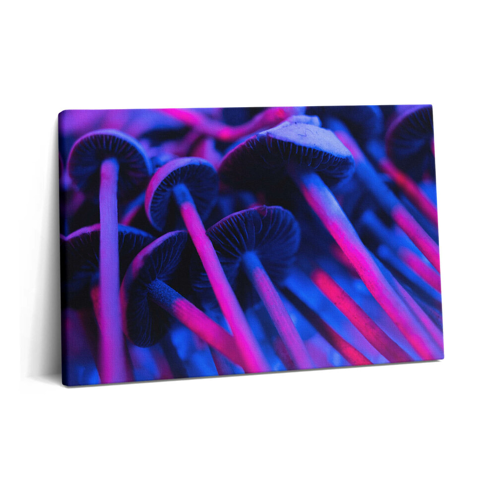 Tablou pe pânză 60x40 Ciuperci magice colorate