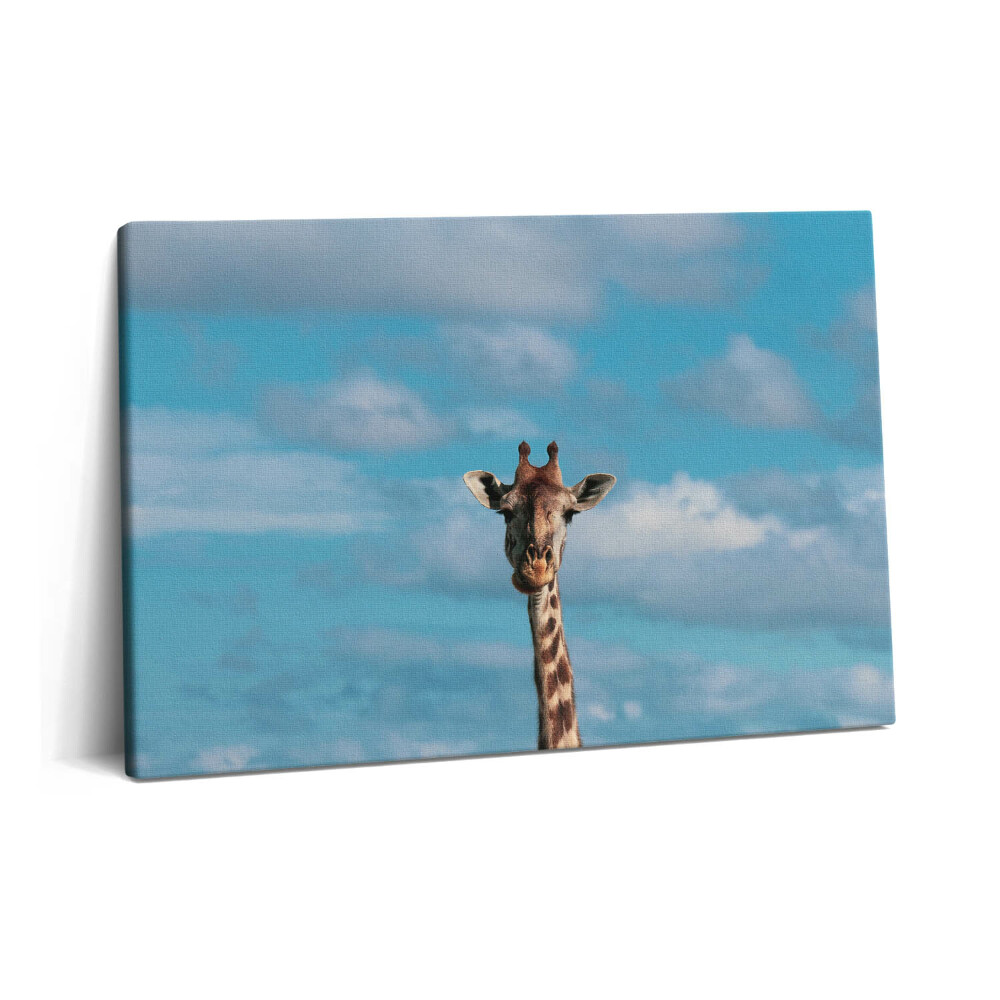 Tablou pe pânză 60x40 Cap de girafă pe cer