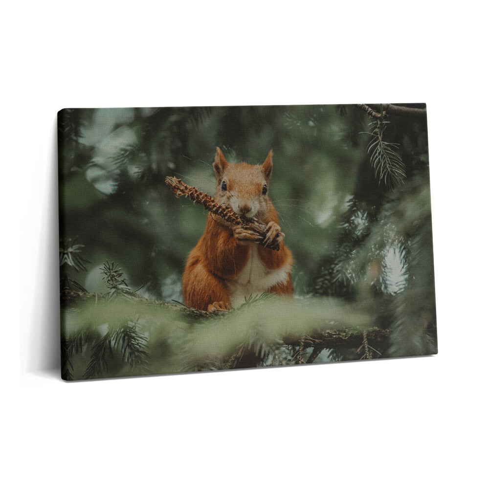 Tablou pe pânză 60x40 Veveriță sălbatică din natură