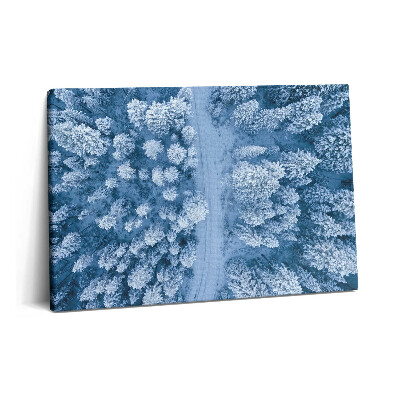 Tablou pe pânză 60x40 Vedere aeriană a pădurii. Drone