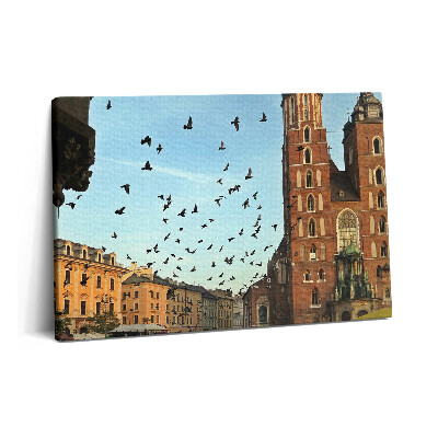 Tablou pe pânză 60x40 Porumbei în orașul Cracovia