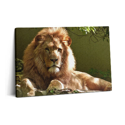 Tablou pe pânză 60x40 Portretul unui leu sălbatic