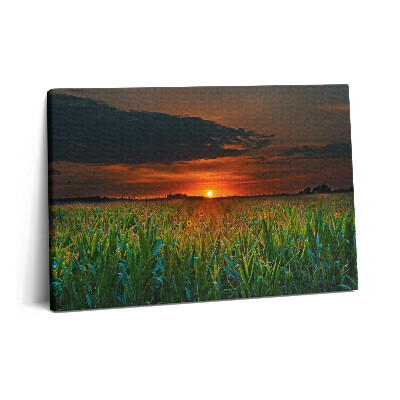 Tablou pe pânză 60x40 Floarea-soarelui în pajiște