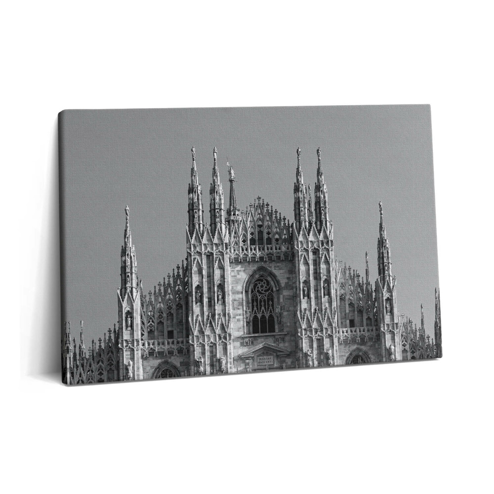 Tablou pe pânză 60x40 Duomo di Milano din Roma