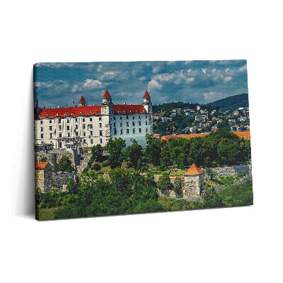 Tablou pe pânză 60x40 Castelul Bratislava