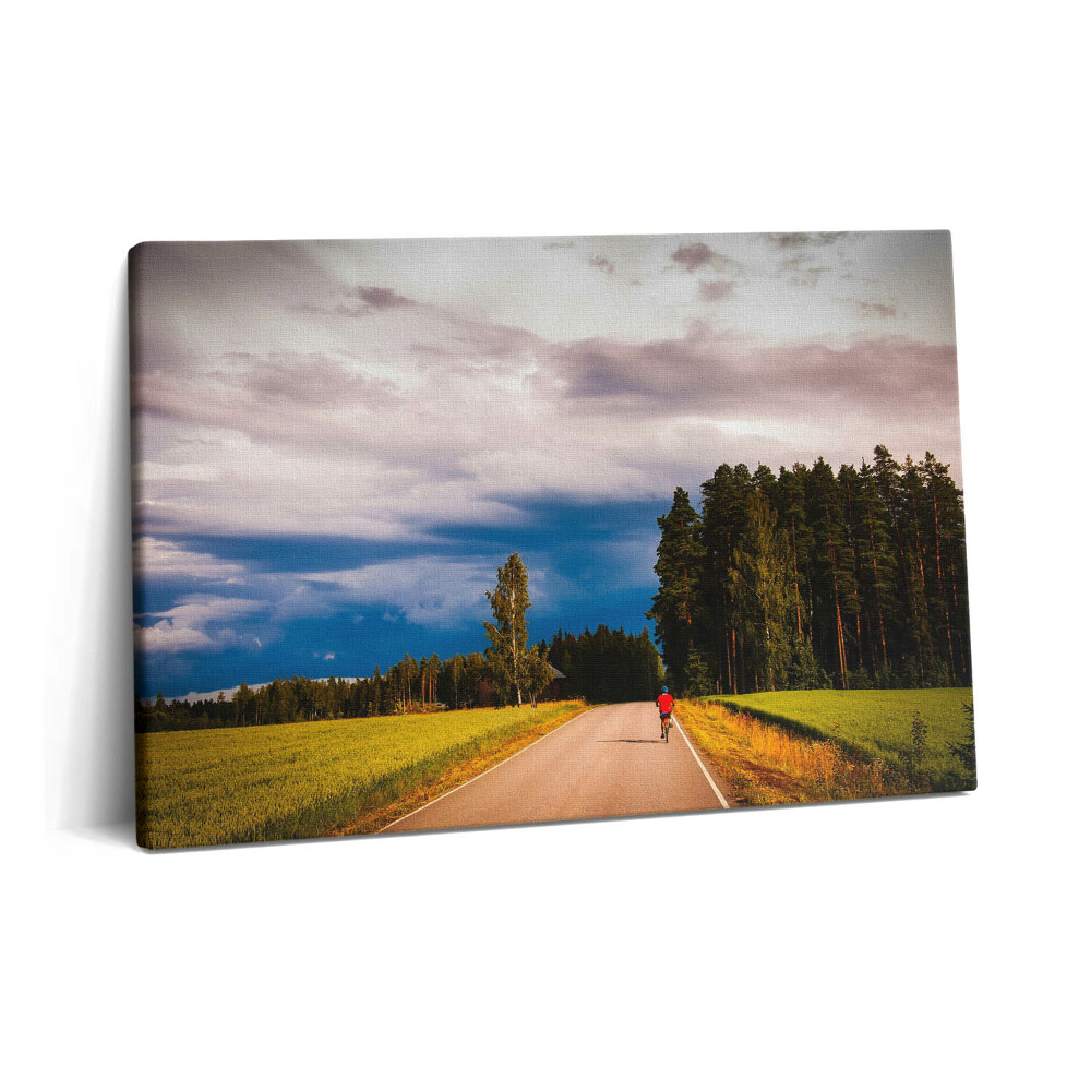 Tablou pe pânză 60x40 O pistă de biciclete bine întreținută