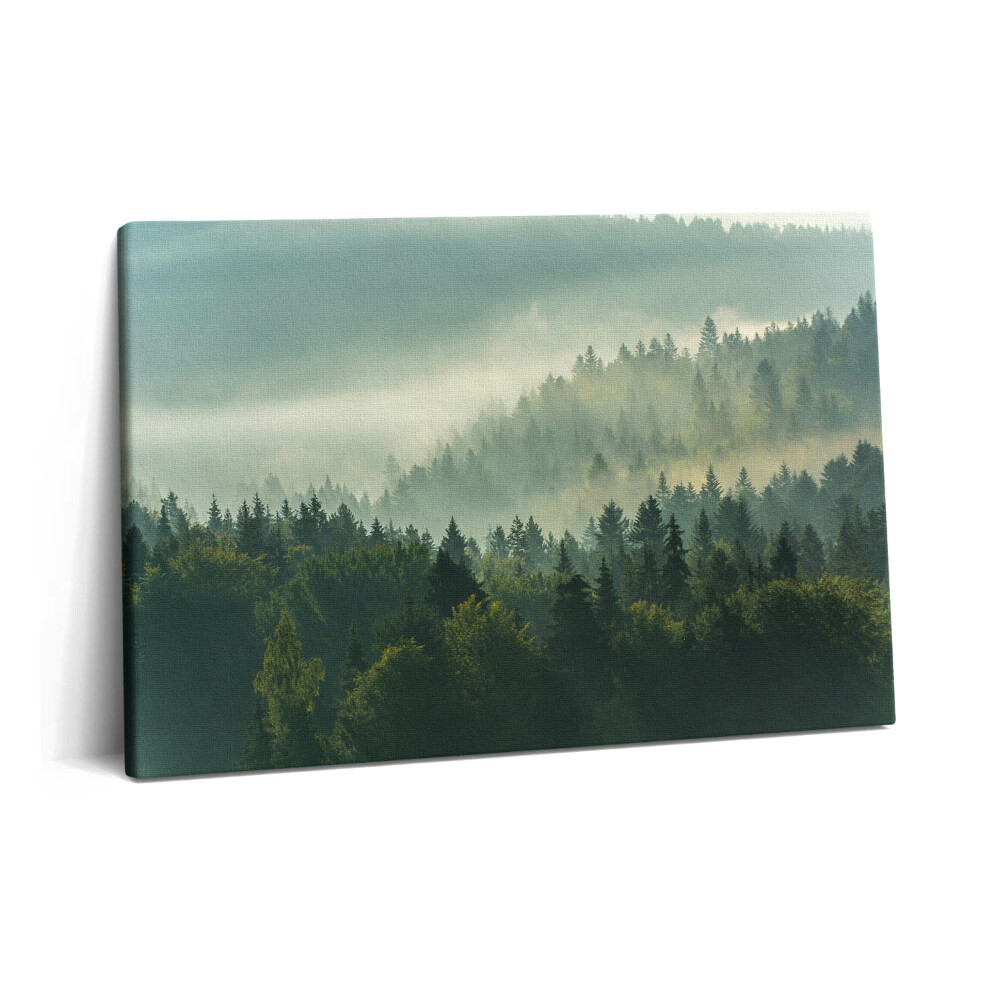 Tablou pe pânză 60x40 Munții Beskid la răsărit