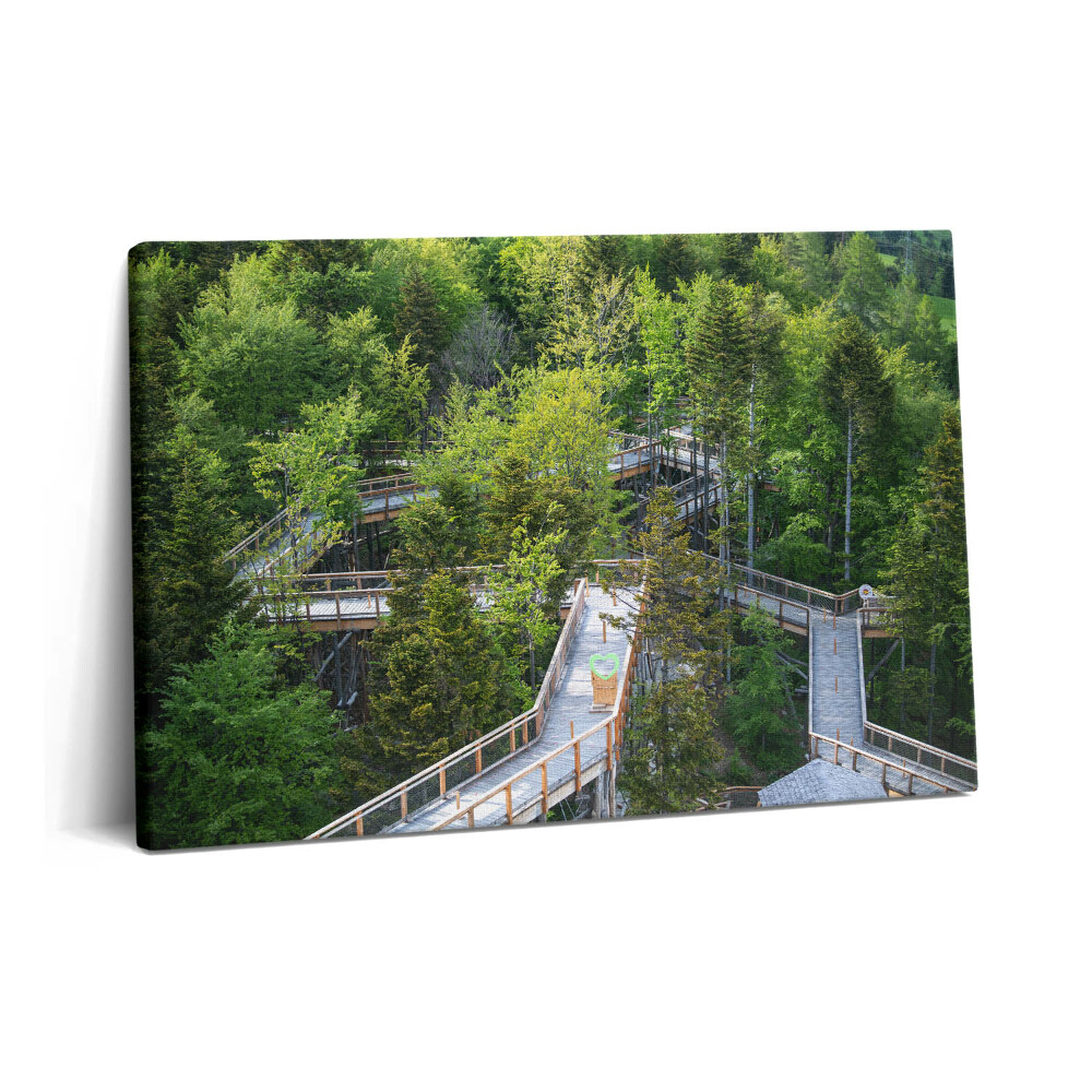 Tablou pe pânză 60x40 Calea în Krynica Zdrój