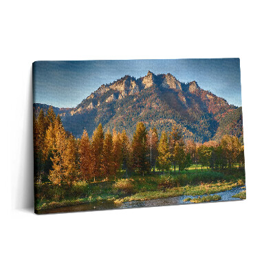 Tablou pe pânză 60x40 Vârful Trei Coroane