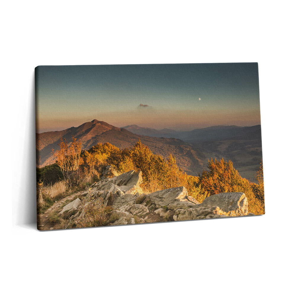 Tablou pe pânză 60x40 Bieszczady