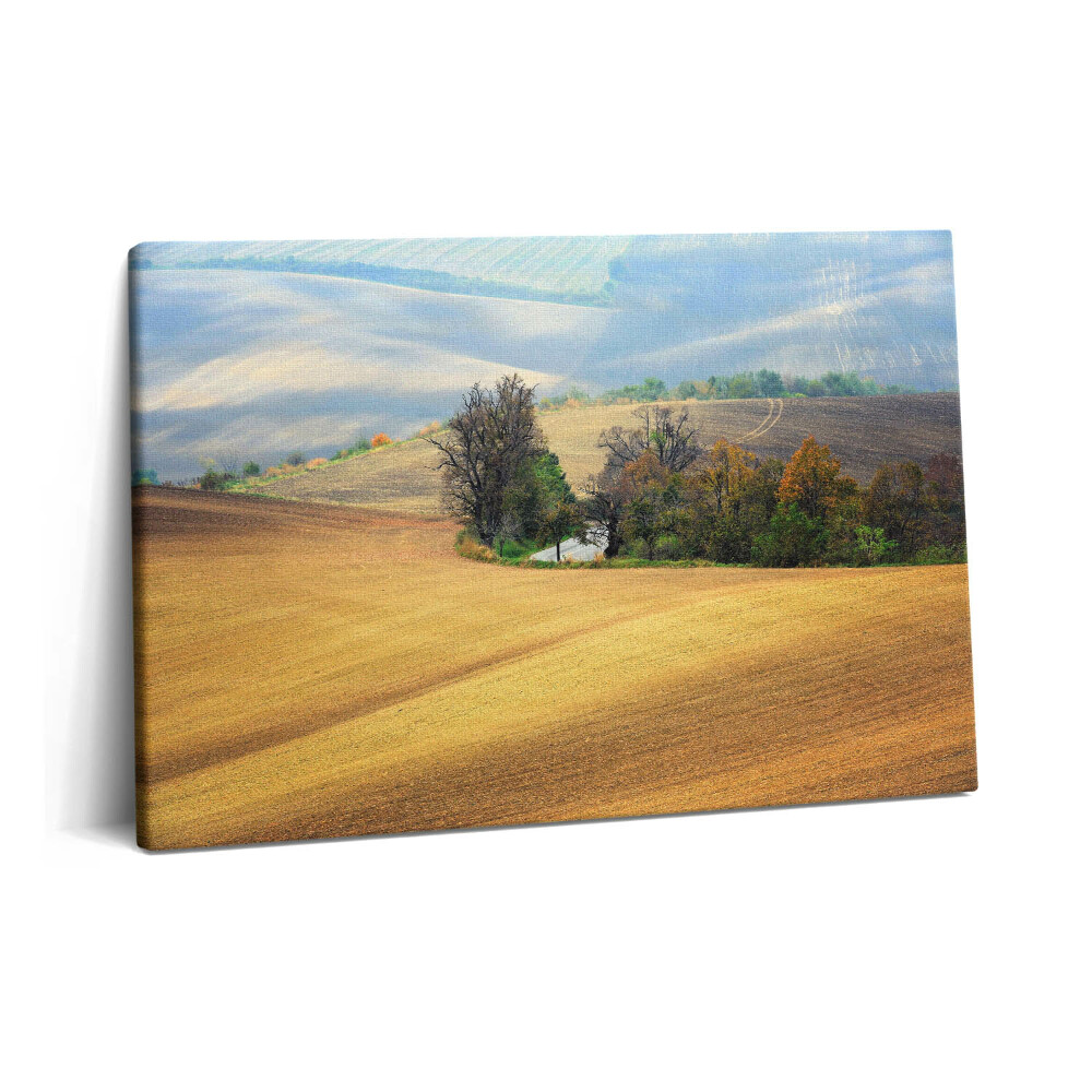 Tablou pe pânză 60x40 Peisaj rural moravian