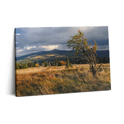 Tablou pe pânză 60x40 Karkonosze în toamnă