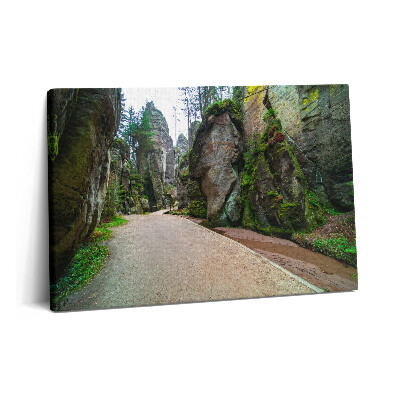 Tablou pe pânză 60x40 Orașul rock din Republica Cehă