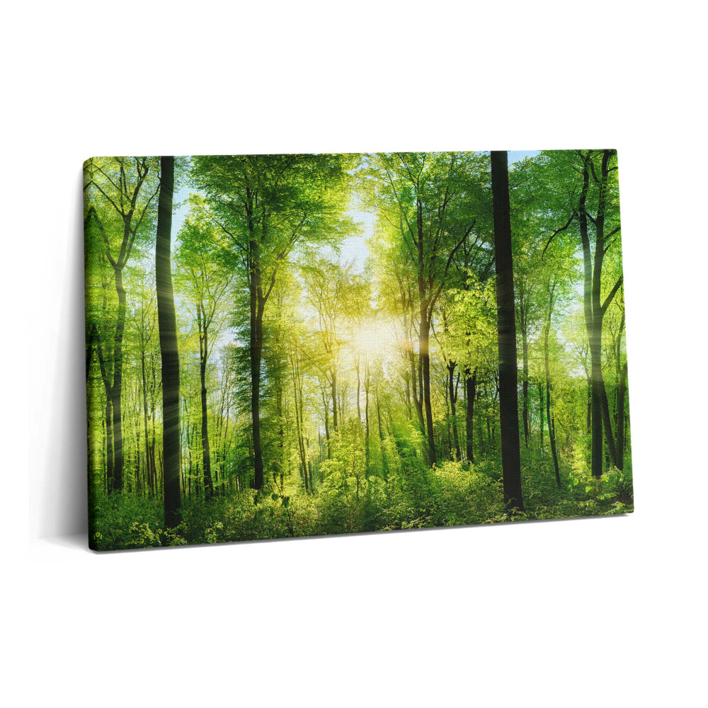 Tablou pe pânză 60x40 Natura copacilor de pădure