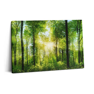 Tablou pe pânză 60x40 Natura copacilor de pădure