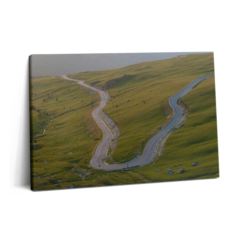 Tablou pe pânză 60x40 Ruta Transalpina 67c