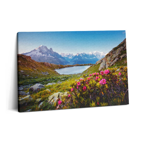 Tablou pe pânză 60x40 Ghețarul Mont Blanc Chamonix