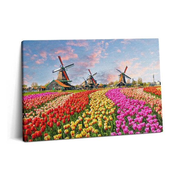 Tablou pe pânză 60x40 Peisaj cu lalele Olanda