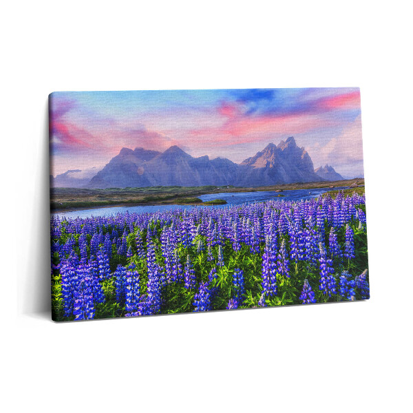 Tablou pe pânză 60x40 Câmpuri de lavandă - Islanda