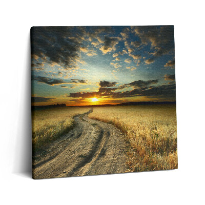 Tablou pe pânză canvas 60x60 Drum de pământ și apus de soare