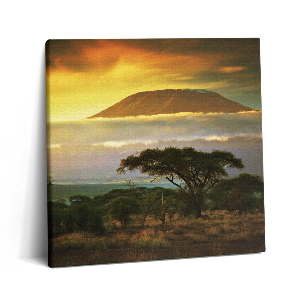 Tablou pe pânză canvas 60x60 Muntele Kilimanjaro și linia norilor la apus