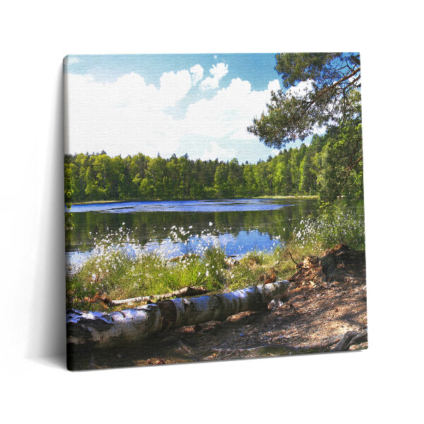 Tablou pe pânză canvas 60x60 Vedere a lacului în pădure