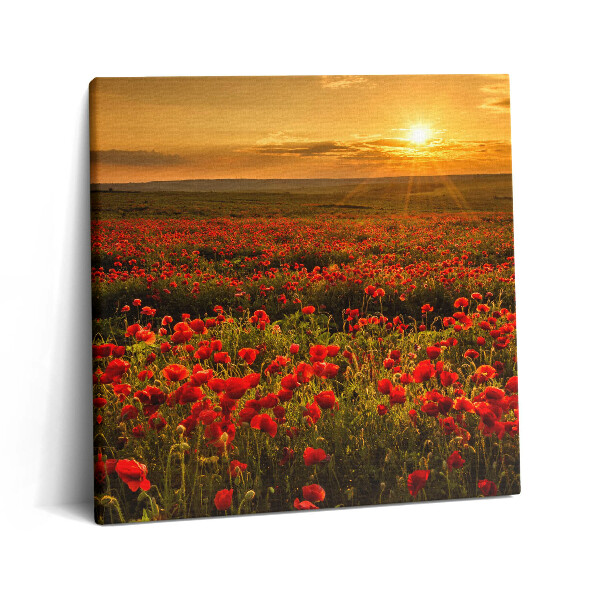 Tablou pe pânză canvas 60x60 Peisaj al unei poiană cu maci