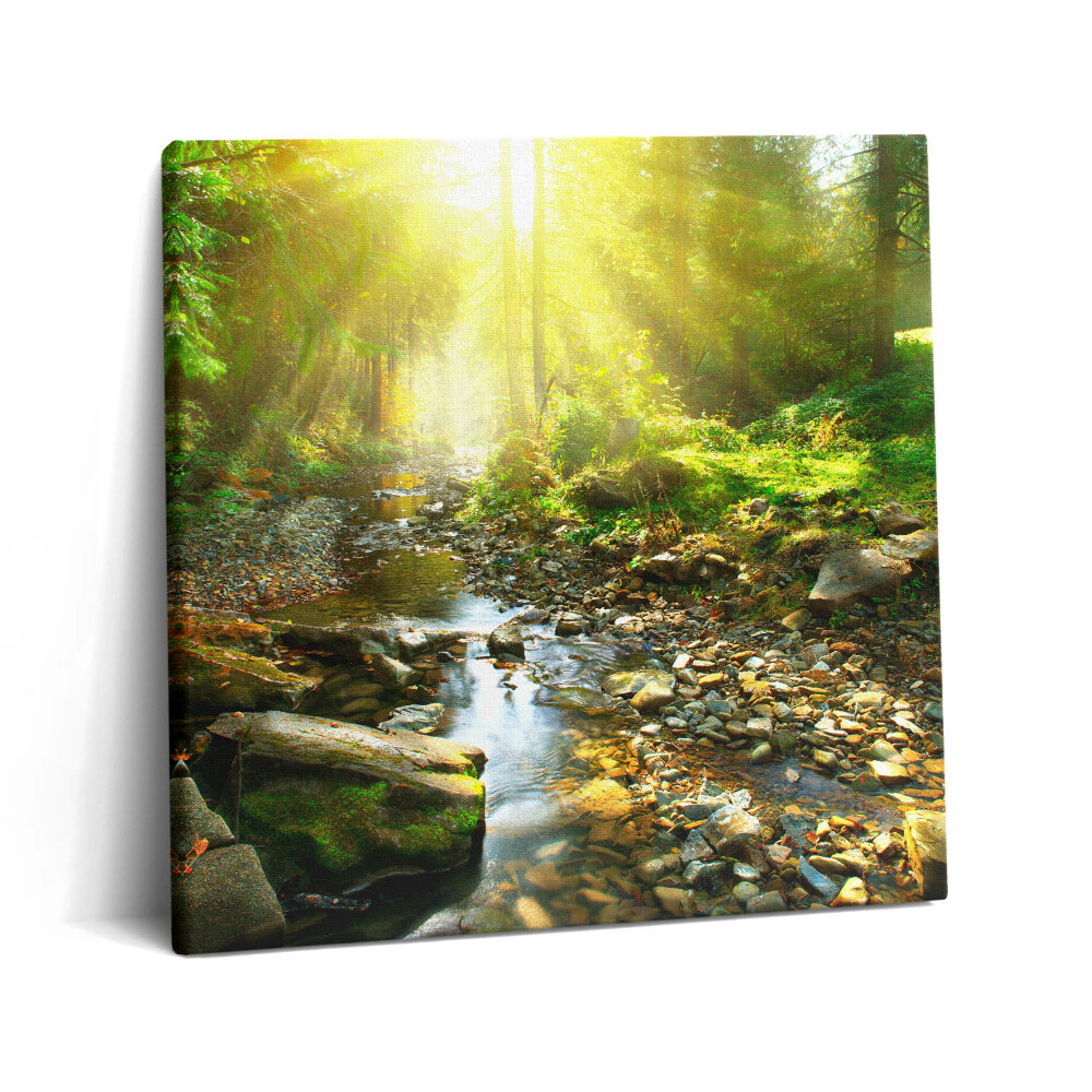 Tablou pe pânză canvas 60x60 Pârâu de pădure la soare
