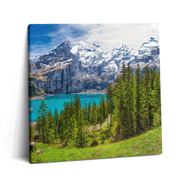 Tablou pe pânză canvas 60x60 Peisaj de pajiști și munți