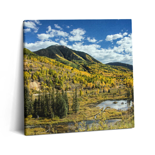 Tablou pe pânză canvas 60x60 Peisaj cu vegetație montană