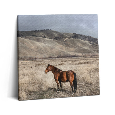 Tablou pe pânză canvas 60x60 Armăsar în iarbă