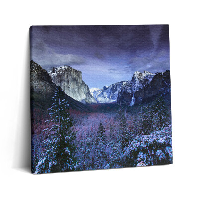 Tablou pe pânză canvas 60x60 Peisaj de iarnă cu munți și păduri