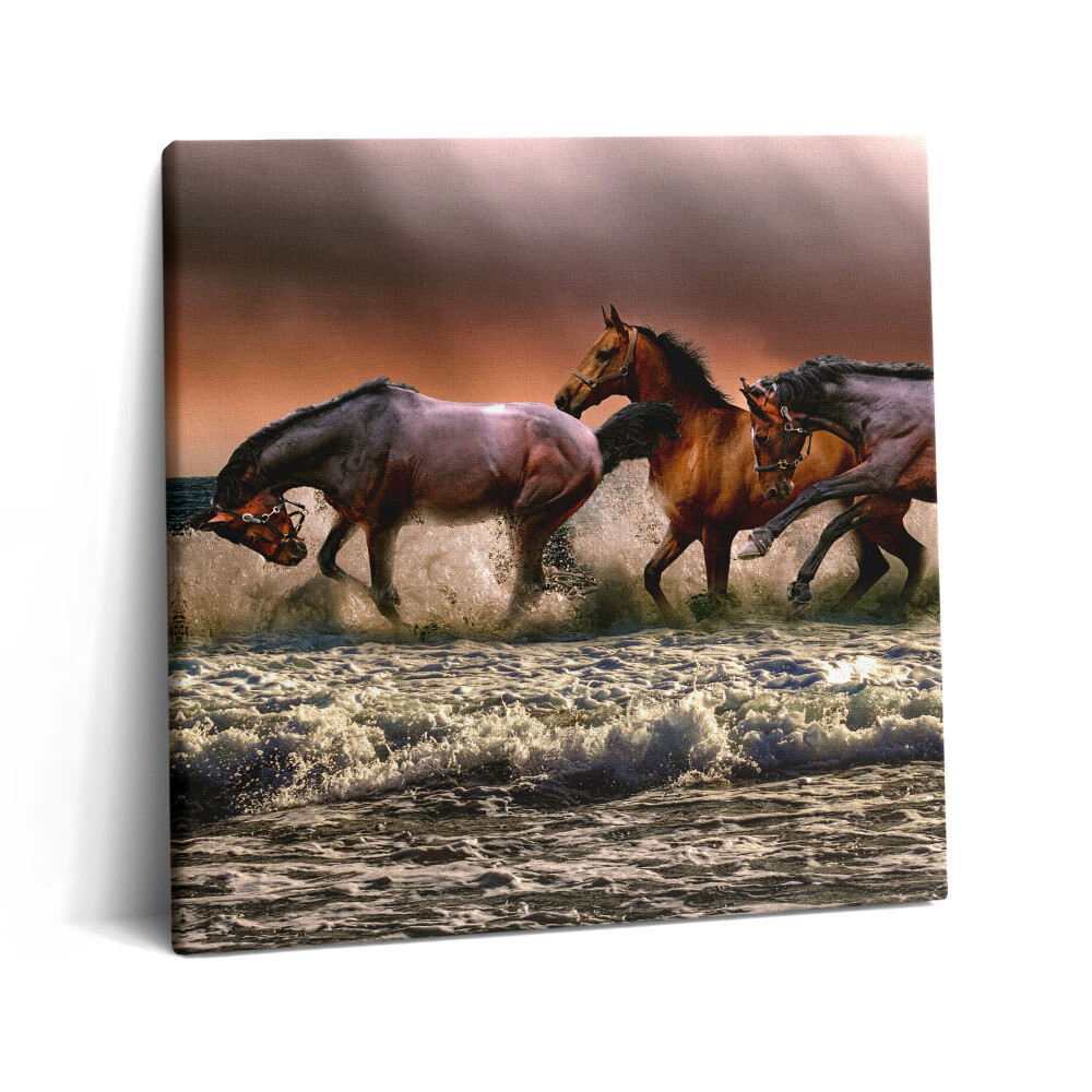 Tablou pe pânză canvas 60x60 Caii au căzut în apă