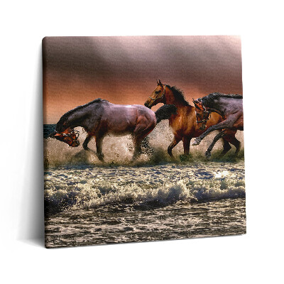 Tablou pe pânză canvas 60x60 Caii au căzut în apă