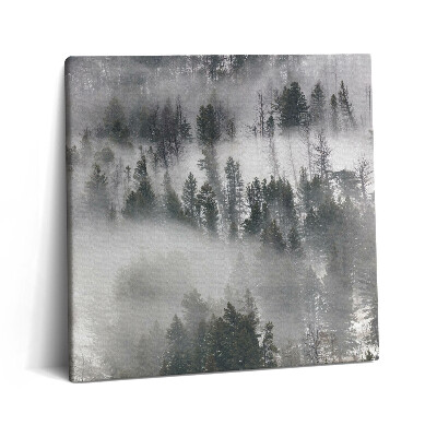Tablou pe pânză canvas 60x60 Peisaj de pădure încețoșată