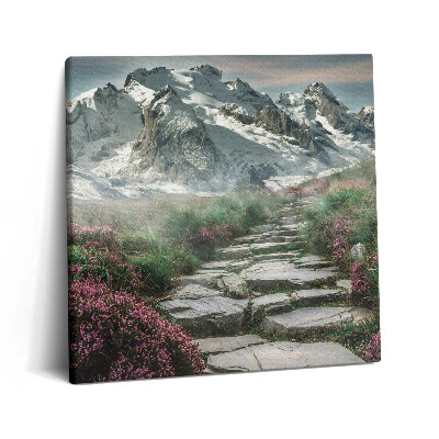 Tablou pe pânză canvas 60x60 Un drum de piatră în munți