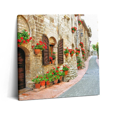 Tablou pe pânză canvas 60x60 O stradă pitorească cu flori