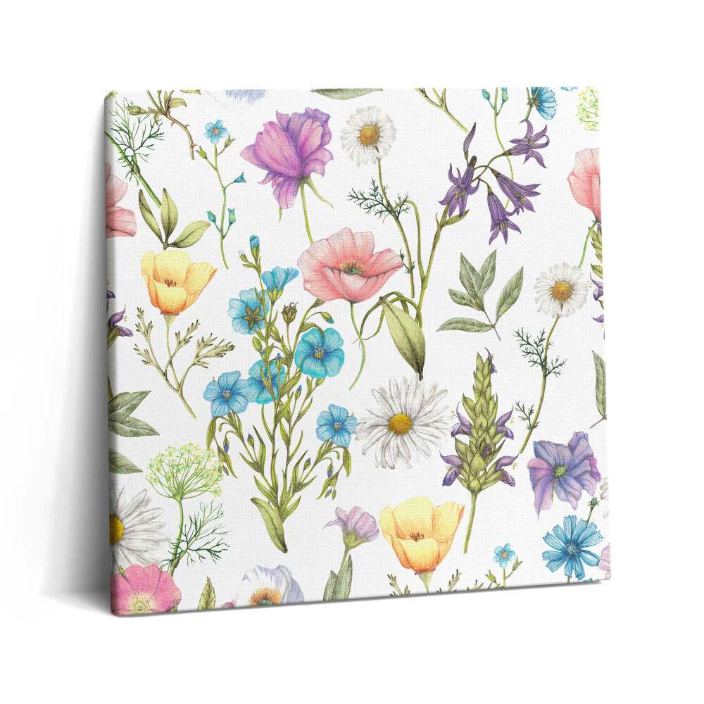 Tablou pe pânză canvas 60x60 Ilustrație florală - pajiște cu flori