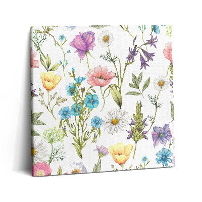Tablou pe pânză canvas 60x60 Ilustrație florală - pajiște cu flori