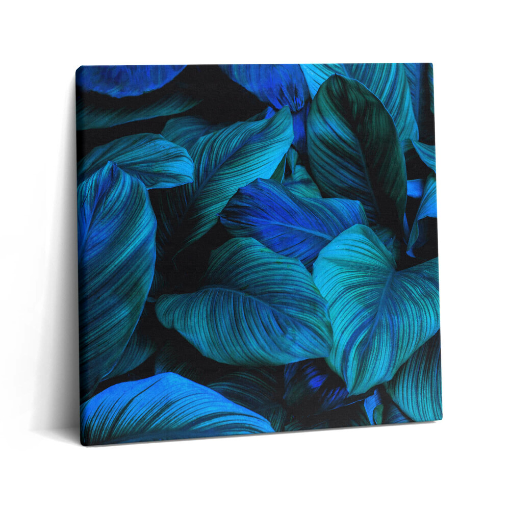 Tablou pe pânză canvas 60x60 Natură tropicală