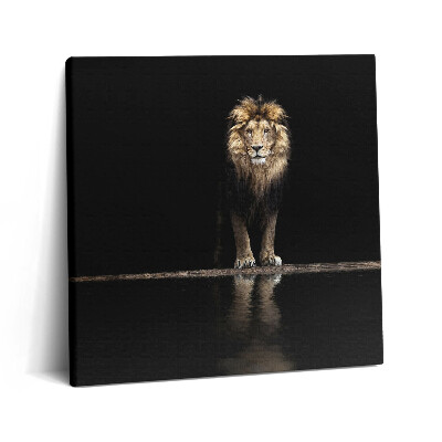 Tablou pe pânză canvas 60x60 Leu singuratic, animal sălbatic