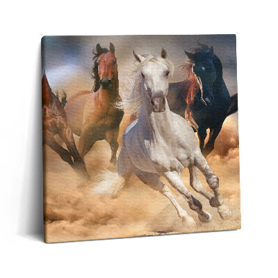 Tablou pe pânză canvas 60x60 Caii năvălesc în galop