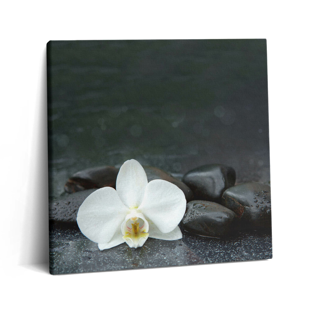 Tablou pe pânză canvas 60x60 Pietre Zen cu flori albe