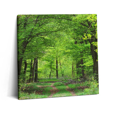 Tablou pe pânză canvas 60x60 Drum forestier sub copaci
