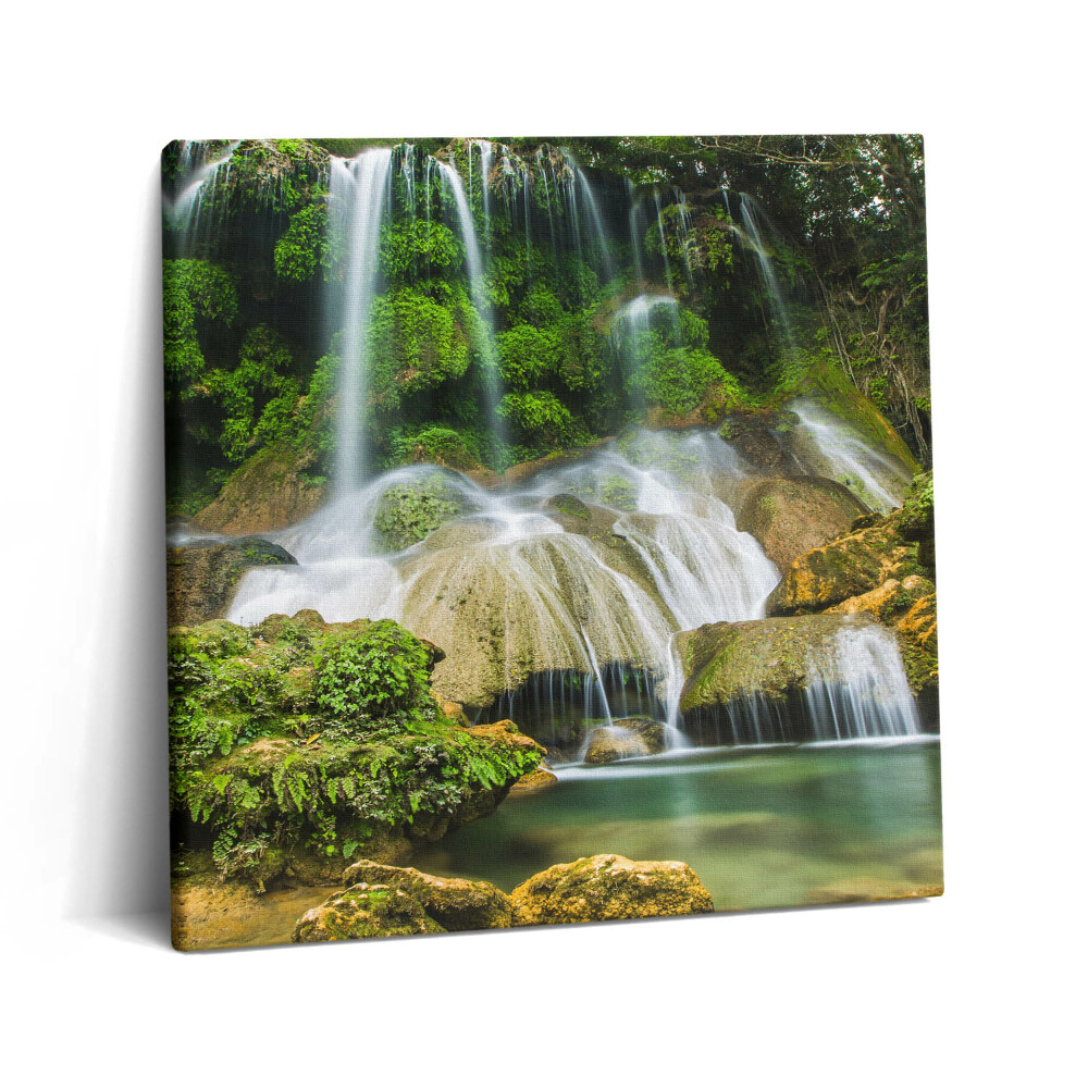 Tablou pe pânză canvas 60x60 Cascadă naturală sălbatică