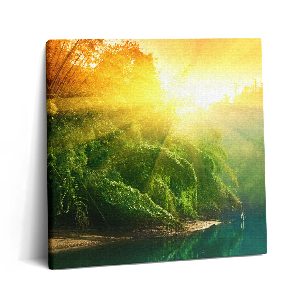 Tablou pe pânză canvas 60x60 Peisaj natural la soare